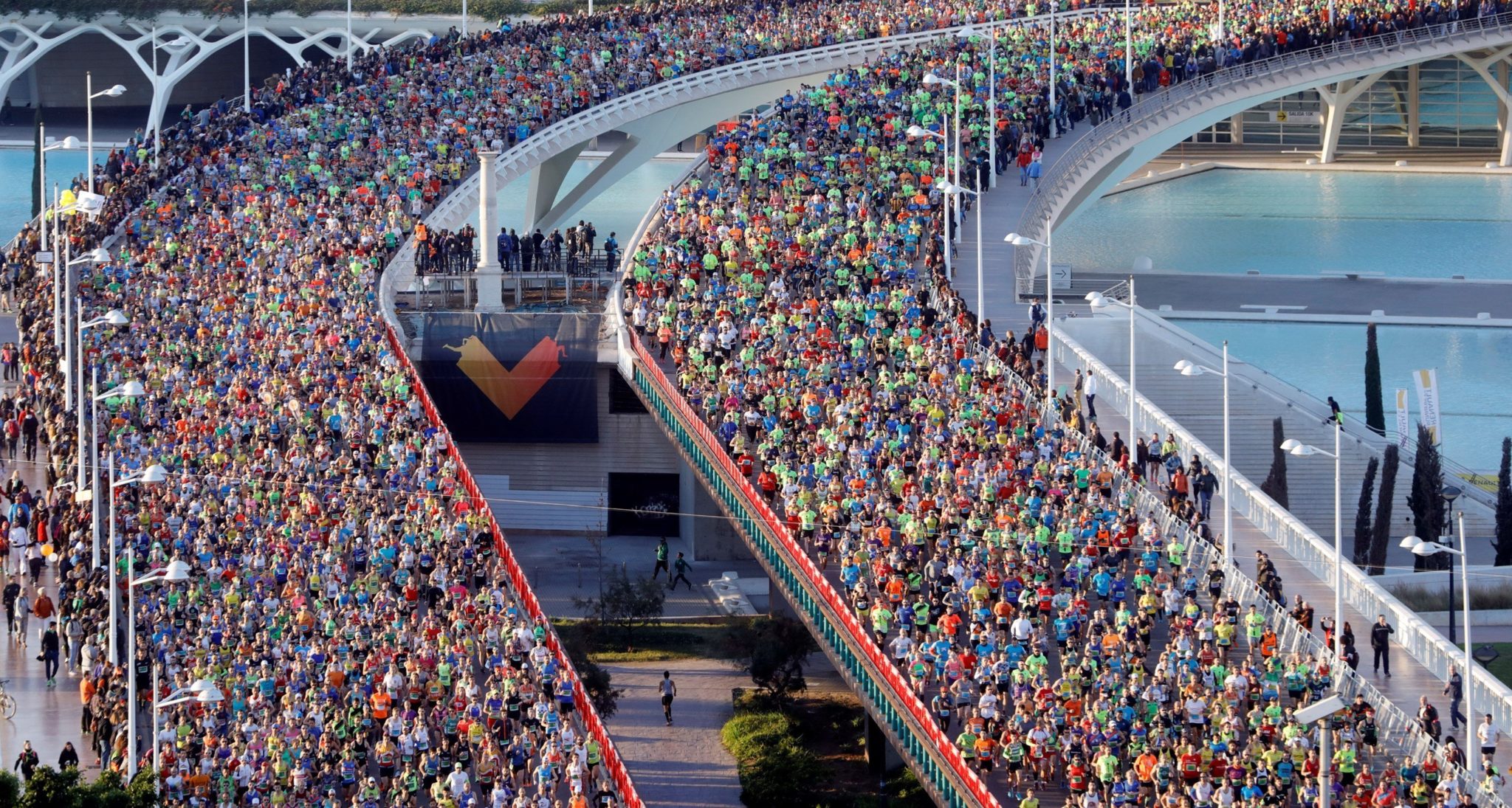 El Maratón De Valencia Genera Más De 31 Millones De Gasto Turístico Pateco 